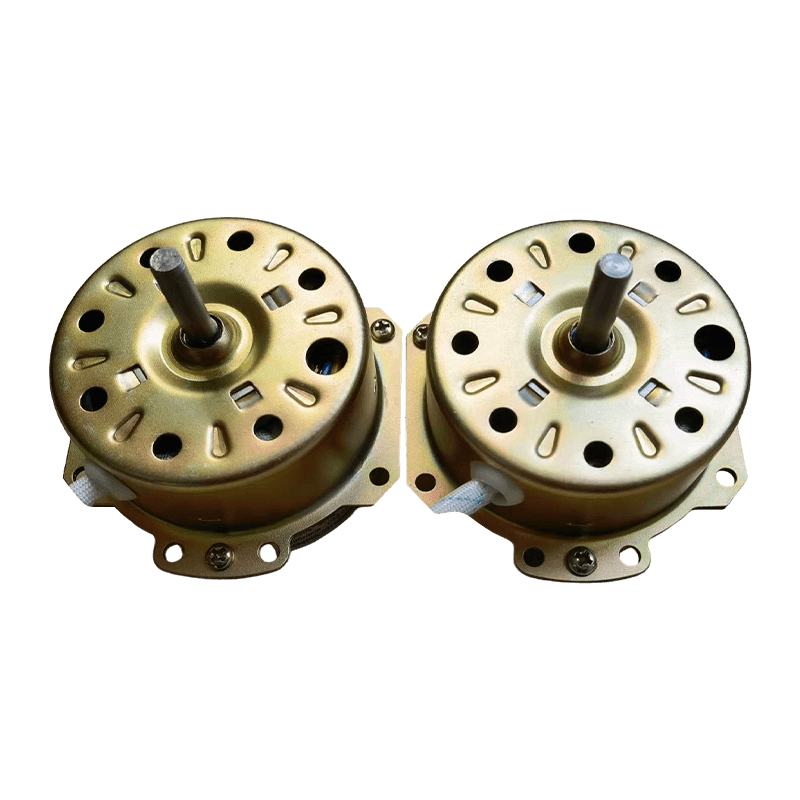 মিনি ওয়াশিং মেশিনের জন্য YYHS-65 মোটর